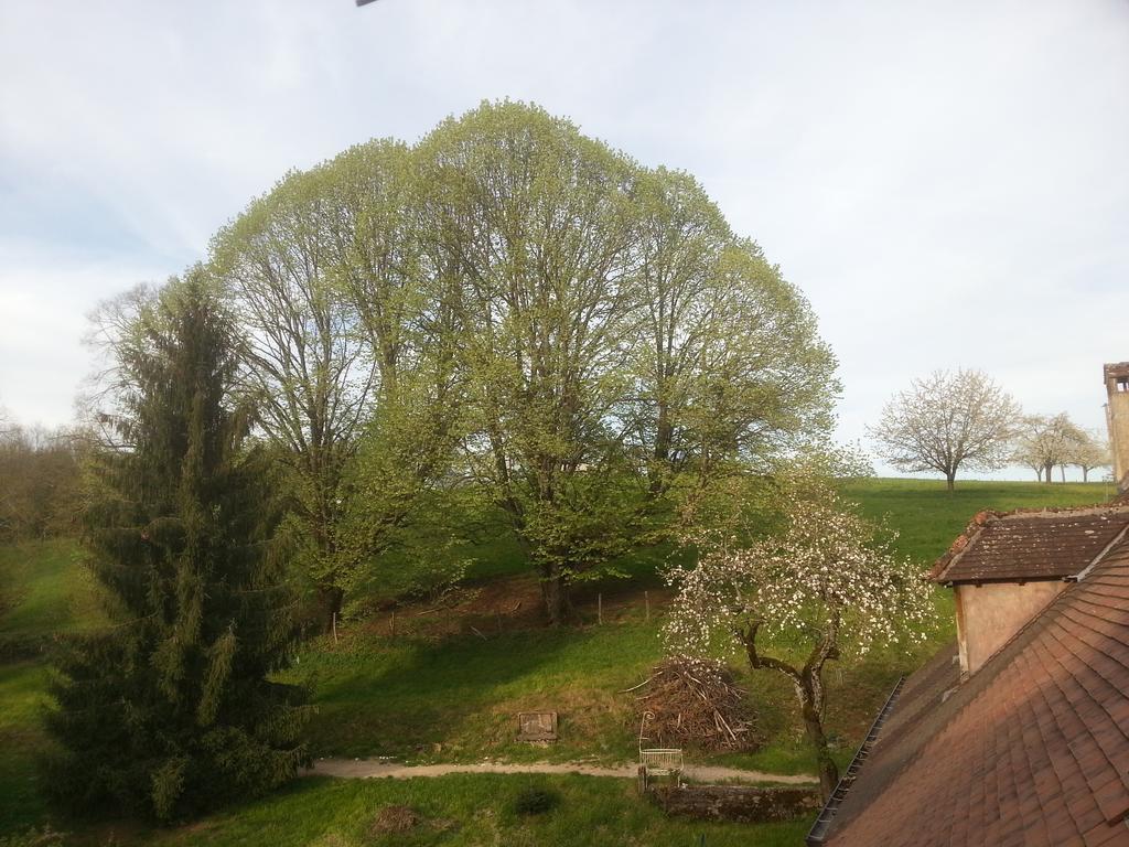 Gîte du château de Feschaux, Jura Villeneuve-sous-Pymont Exterior foto