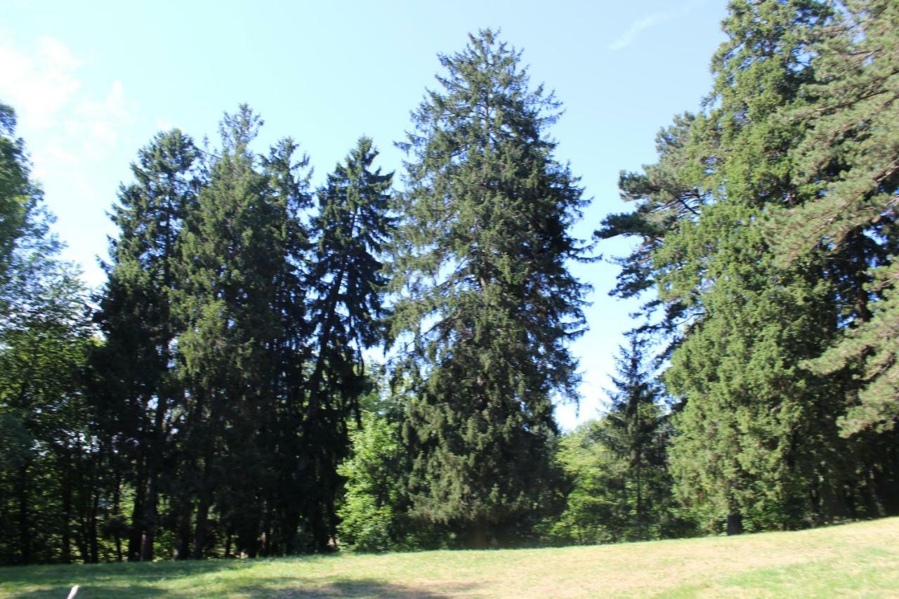 Gîte du château de Feschaux, Jura Villeneuve-sous-Pymont Exterior foto